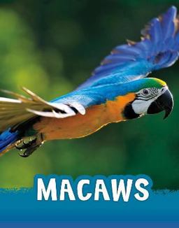 Macaws