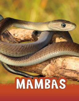 Mambas
