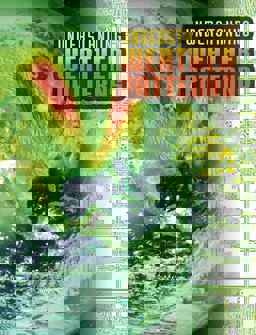 Understanding Weather Patterns