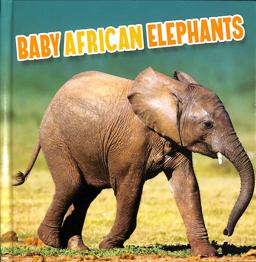 Baby African Elephants