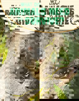 What Do Animals Need to Survive?