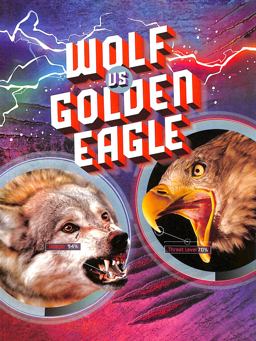 Wolf vs Golden Eagle