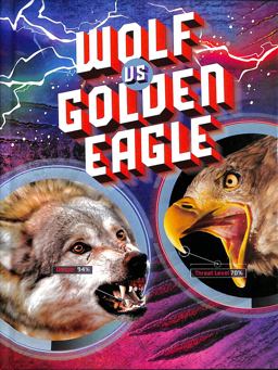 Wolf vs Golden Eagle