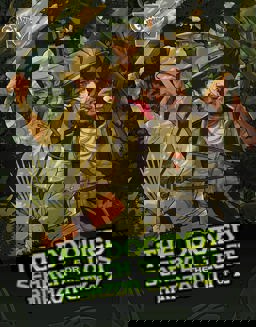 The Doomed Search for the Lost Amazon City of Z