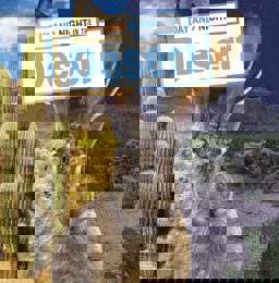 Day and Night in the Desert