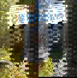 Day and Night in the Forest