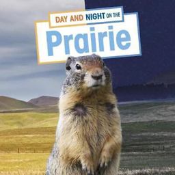Day and Night on the Prairie