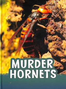 Murder Hornets