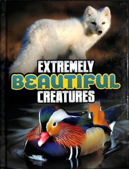 Extremely Beautiful Creatures