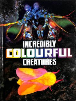 Incredibly Colourful Creatures