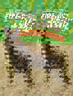 Female Spotted Hyenas