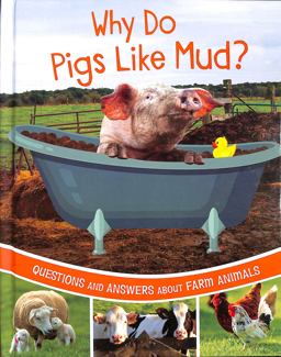 Why Do Pigs Like Mud?