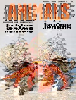 Animals Live in Homes