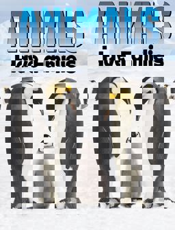 Animals Have Families