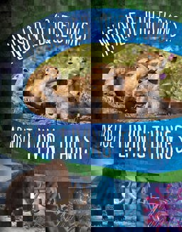 Unsolved Questions about Living Things