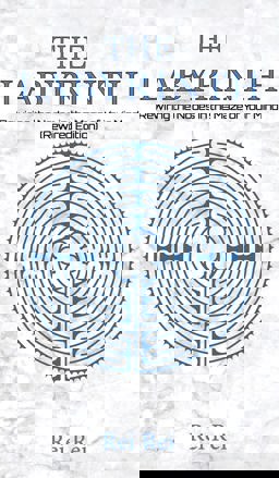 Labyrinth Rewiring the Nodes in the Maze of Your Mind 1st 9781398425507 Front Cover