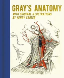 Gray's Anatomy Gray's Anatomy
