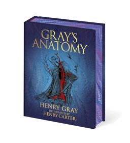 Gray's Anatomy Gray's Anatomy