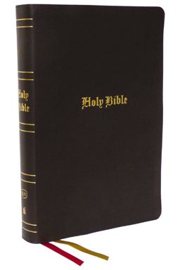 KJV Holy Bible
