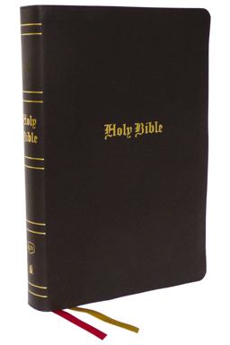 KJV Holy Bible