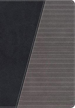 The Modern Life Study Bible