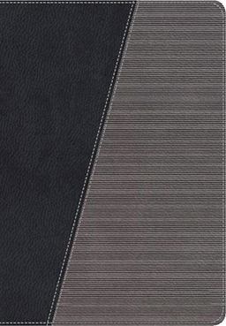 The Modern Life Study Bible