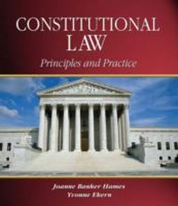Constitutional Law Principles and Practice  9781401807344 Front Cover