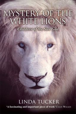 Mystery of the White Lions Children of the Sun God  9781401927219 Front Cover