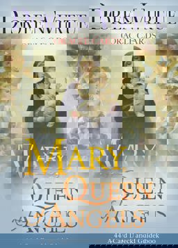 Mary, Queen of Angels Oracle Cards  9781401928780 Front Cover