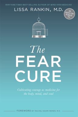 Fear Cure Cultivating Courage As Medicine for the Body, Mind, and Soul  9781401944261 Front Cover