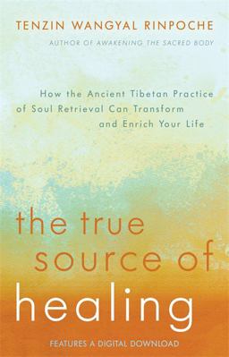 True Source of Healing How the Ancient Tibetan Practice of Soul Retrieval Can Transform and Enrich Your Life  9781401944490 Front Cover
