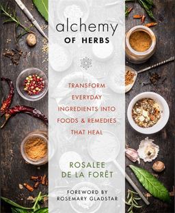 Alchemy of Herbs Transform Everyday Ingredients into Foods and Remedies That Heal  9781401950064 Front Cover