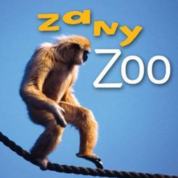 Zany Zoo
