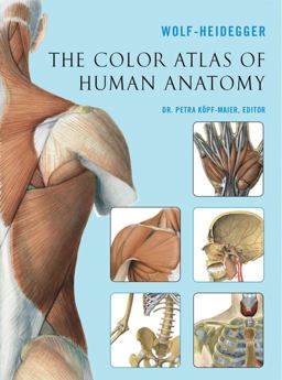 Color Atlas of Human Anatomy  9781402742002 Front Cover