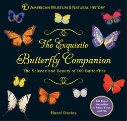 The Exquisite Butterfly Companion
