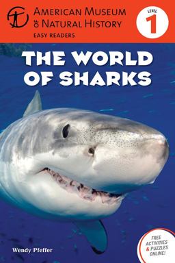 The World of Sharks, Level 1