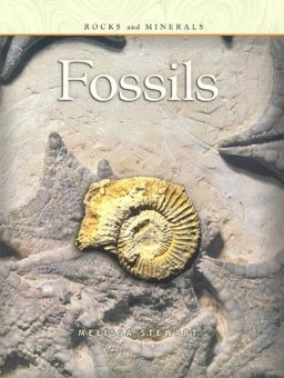 Fossils