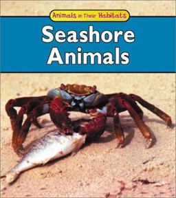 Seashore Animals Seashore Animals