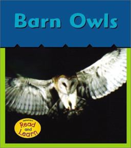 Barn Owls