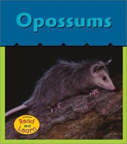 Opossums