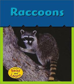 Raccoons