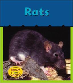 Rats