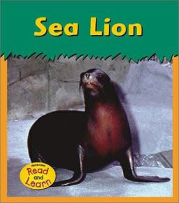 Sea Lion