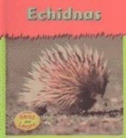 Echidnas