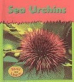 Sea Urchins