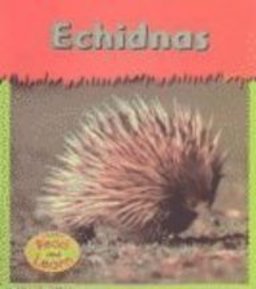 Echidnas