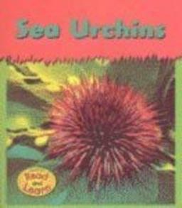 Sea Urchins