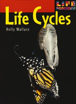 Life Cycles