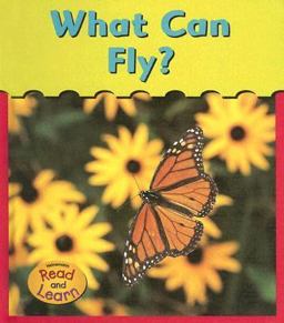 What Can Fly?