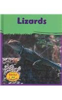 Lizards